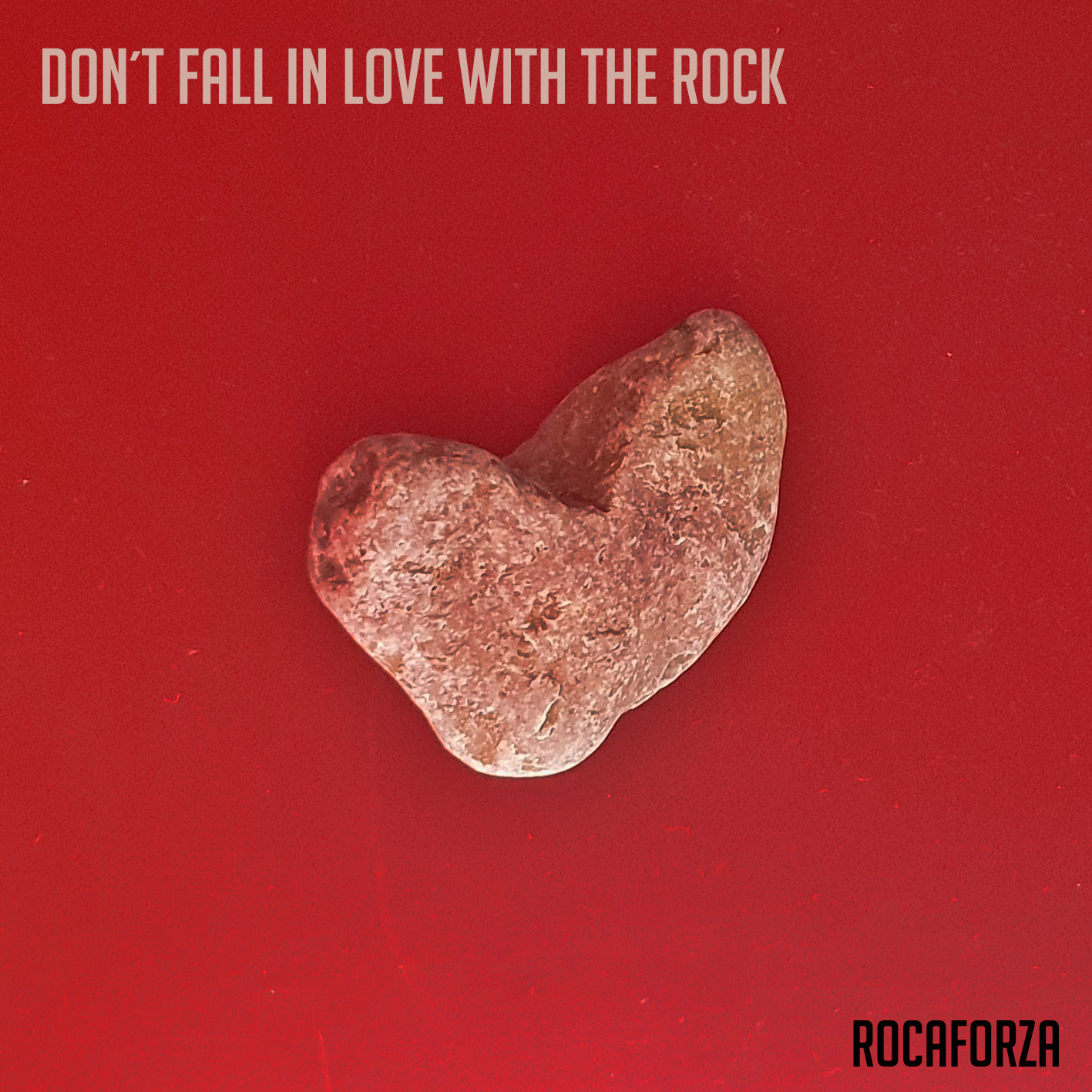 DON'T FALL IN LOVE WITH THE ROCK